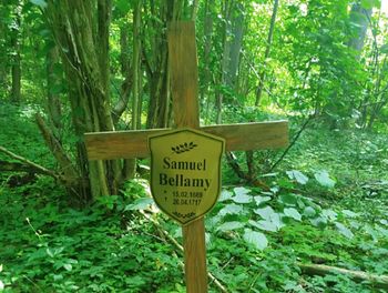 Zagadkowy grób w Sztynorcie z 1717 r. "Bellamy to był chyba pirat"