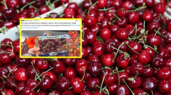 Czereśnie w lutym. Ich cena bije rekordy