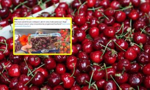 Czereśnie w lutym. Ich cena bije rekordy