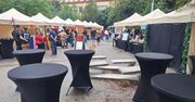 Wrocław: Ruszajcie na Gastro Miasto. Dziś ostatni dzień imprezy dla łasuchów