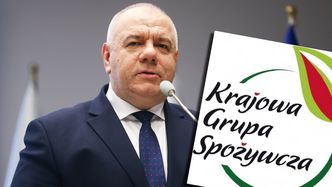 Krajowa Grupa Spożywcza ma za chwilę stać się faktem. Idziemy inną drogą niż Zachód