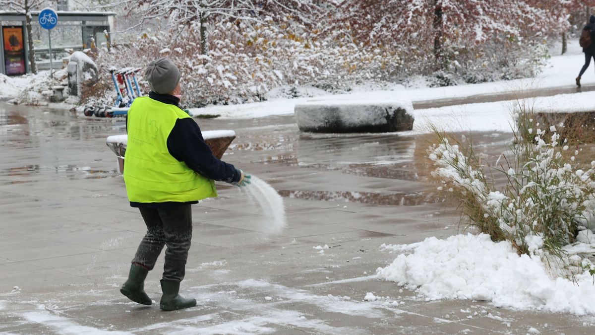 Pierwszy ?nieg w Warszawie
22.11.2024 Warszawa. Pierwszy snieg w Warszawie Fot. Jacek Dominski/REPORTER
Jacek Dominski/REPORTER