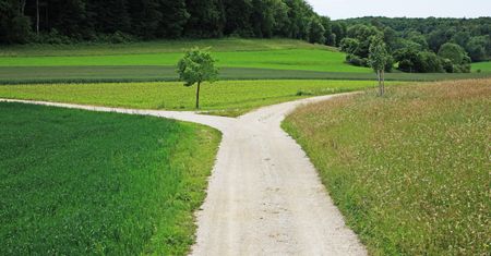 Co kryje się na rozwidleniu drogi? Sprawdź w krzyżówce, czy wiesz