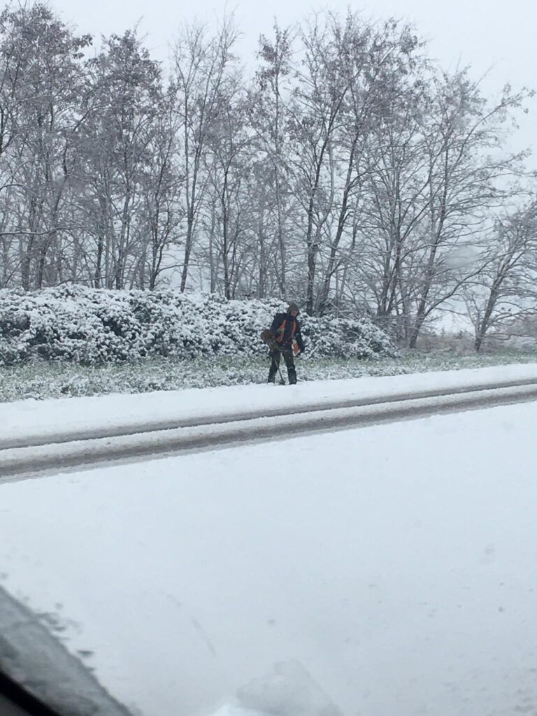 Drogowcy kosili trawę w śniegu