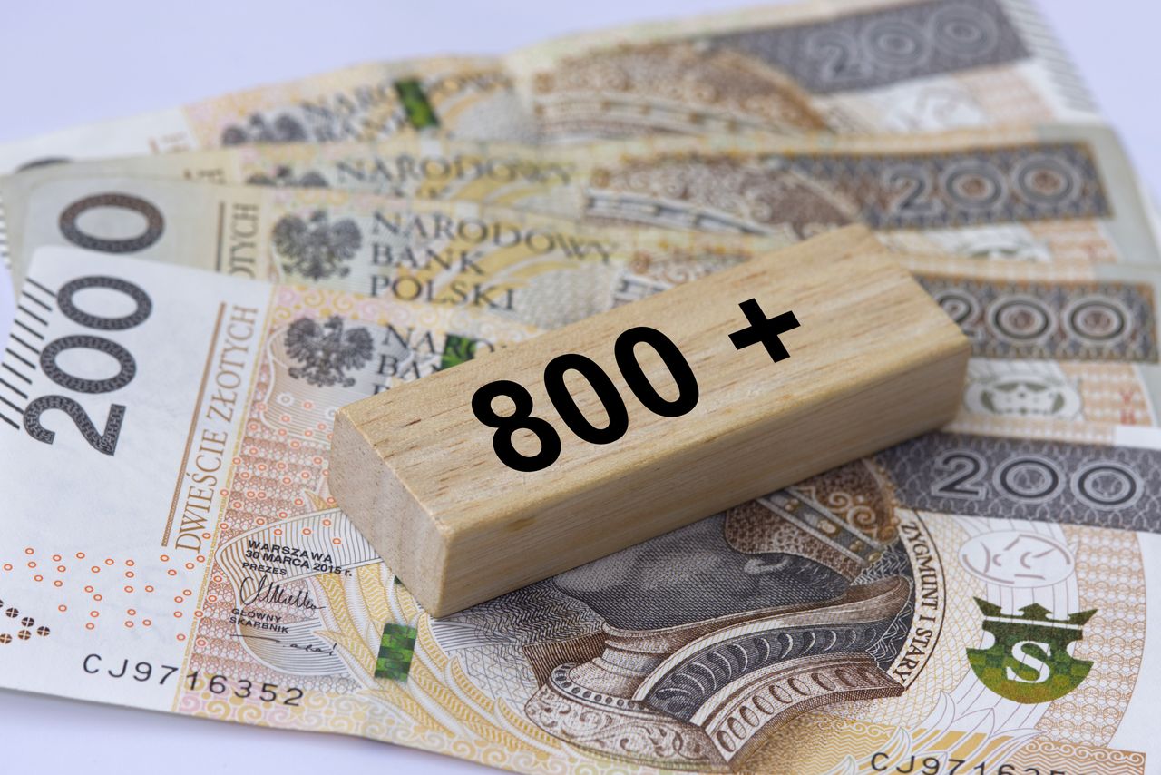 Kiedy ZUS może wstrzymać 800 plus? To głównie kwestia jednego terminu
