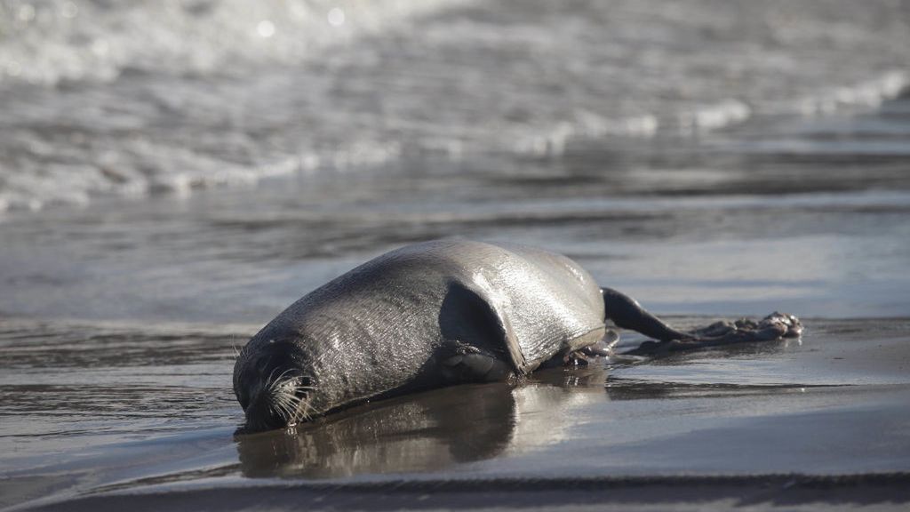 Z Kazachstanu płyną niepokojące wieści 