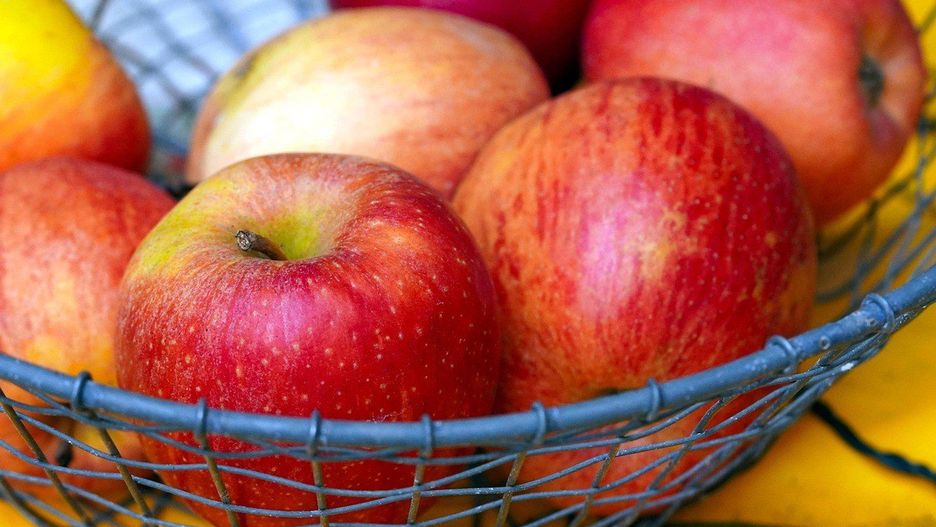 Ministerstwo Rolnictwa i Rozwoju Wsi przekazało, że Kazachstan pozostaje jednym z ważniejszych odbiorców polskiej żywności w Azji.