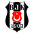Besiktas GAIN Stambuł