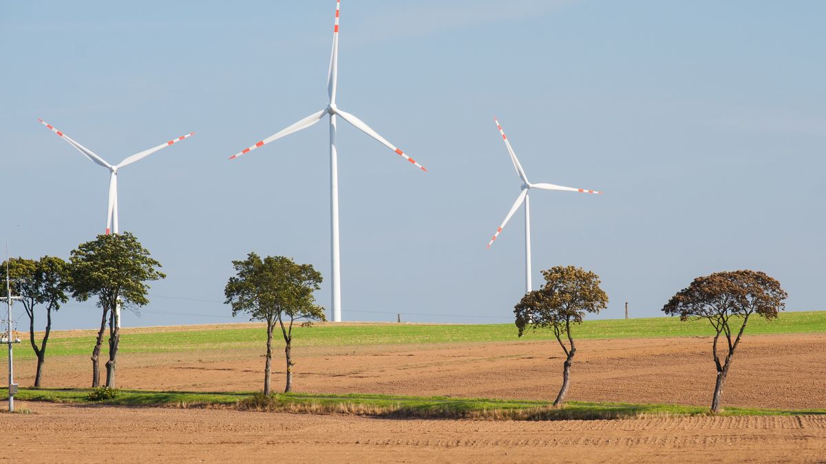 Elektrownia Wiatrowa Bardy