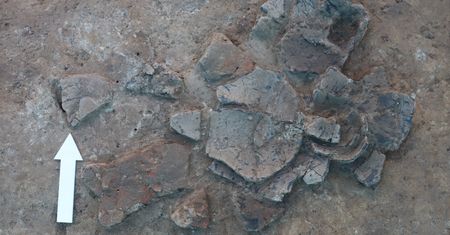 Odkrycie sprzed 5,5 tys. lat. Natknęli się na nie archeolodzy