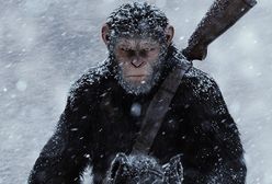 "Wojna o planetę małp": specjaliści od efektów przeszli samych siebie. Filmowe małpy jak żywe [TYLKO U NAS]