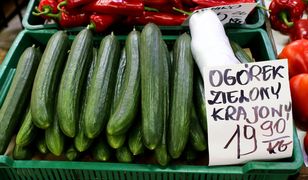 20 zł za kilogram ogórków? "Warzywa z Afryki są tańsze"