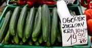 20 zł za kilogram ogórków? "Warzywa z Afryki są tańsze"