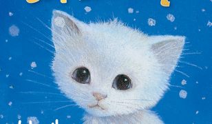 Zaopiekuj się mną. Wąsik, niechciany kotek