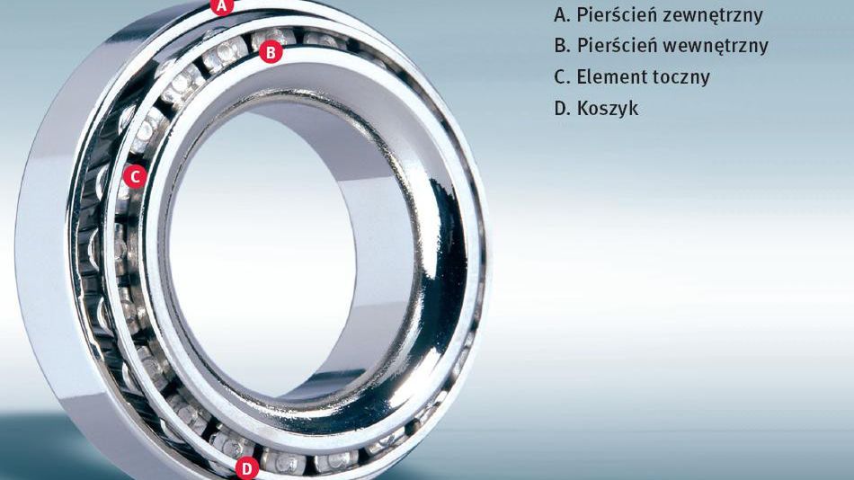 Zdjęcie ilustracyjne do artykułu