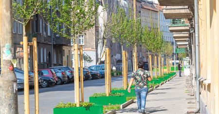 Powiew lata. Niemal 30 st. C na termometrach