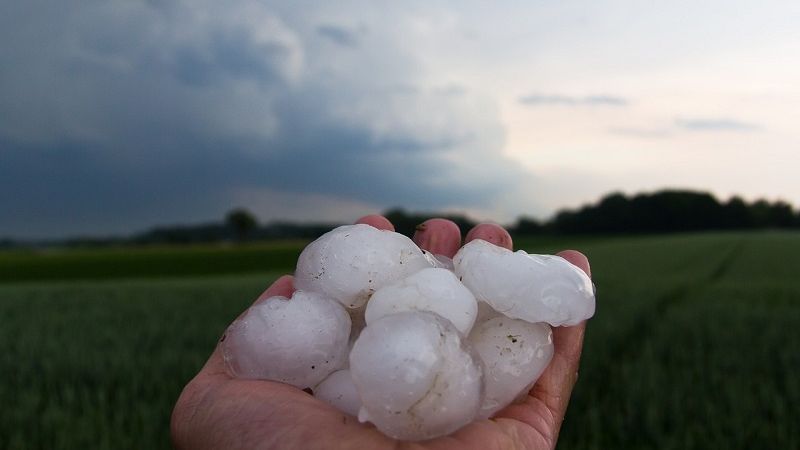 kulki gradu na dłoni