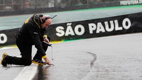 GP Brazylii: Ustawienie na starcie