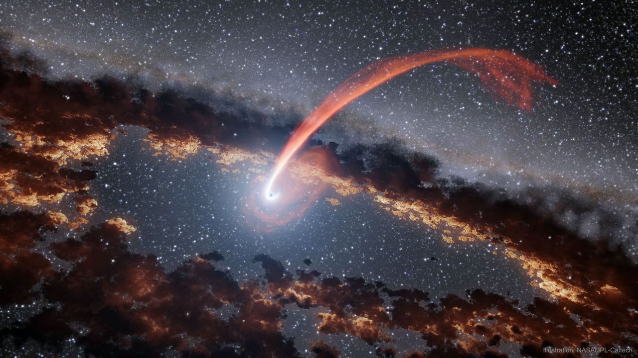 Ilustracja: gwiazda właśnie minęła masywną czarną dziurę, która odarła z jej warstw zewnętrznych gaz. Wewnętrzna krawędź dysku z gazu i pyłu otaczającego czarną dziurę jest wówczas podgrzewana przez to zaburzenie i może świecić jeszcze długo po zniknięciu gwiazdy 