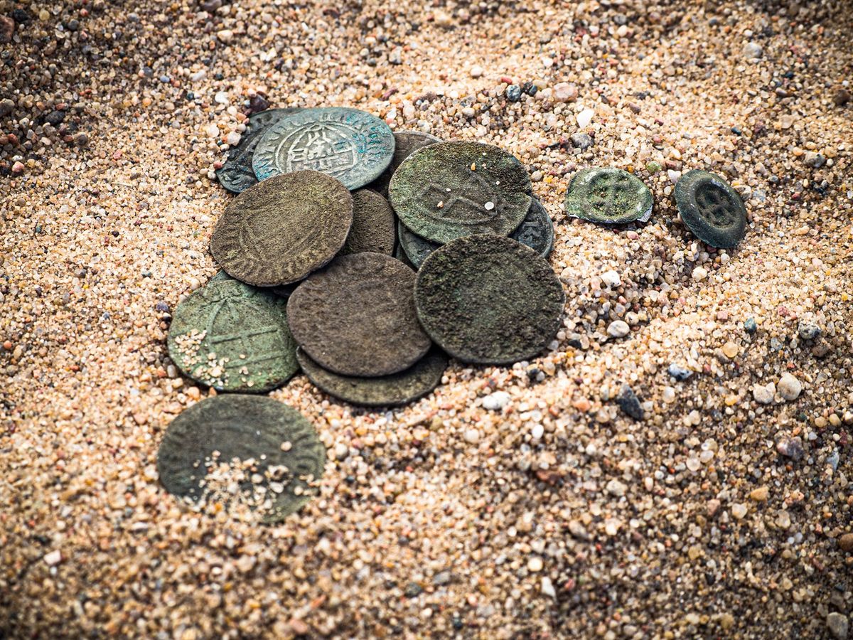 Toruń. Krzyżackie monety odnalezione w lesie nieopodal dawnego grodu krzyżackiego