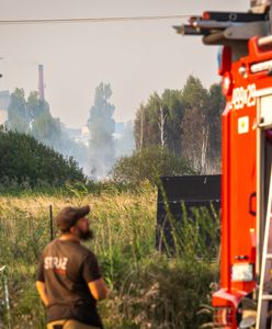 Groźne odkrycie w Wielkopolsce. 50 źródeł radioaktywnej substancji