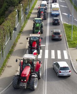Protest rolników. Sąsiad Andrzeja Leppera chce zablokować Polskę. "Mamy ziemniaki"
