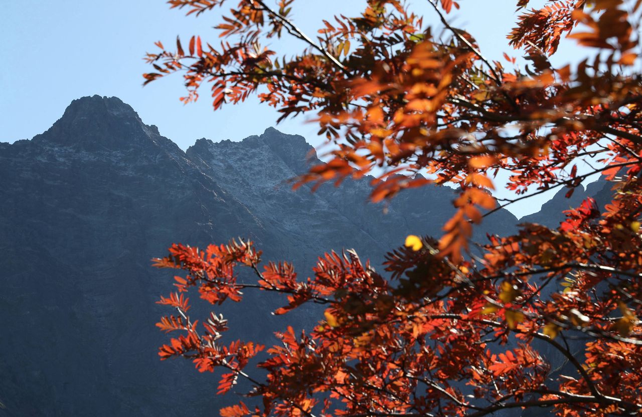 Tatry. Akcja TOPR na Rysach. Utknęło tam dwoje turystów