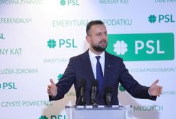 PiS w koalicji z PSL? "Wyobrażam sobie taką współpracę"