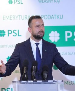 PiS w koalicji z PSL? "Wyobrażam sobie taką współpracę"