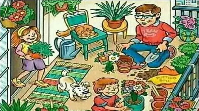 Gdzie jest banan? Musisz go znaleźć w zaledwie 11 sekund