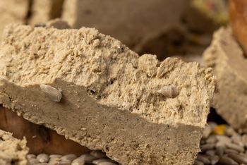 Za komuny jadł niemal każdy. Warto wrócić do zapomnianego przysmaku, bo opóźnia starzenie