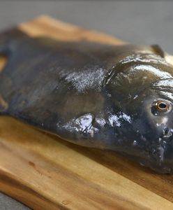 Koniec z żywym karpiem. Kaufland rezygnuje ze sprzedaży