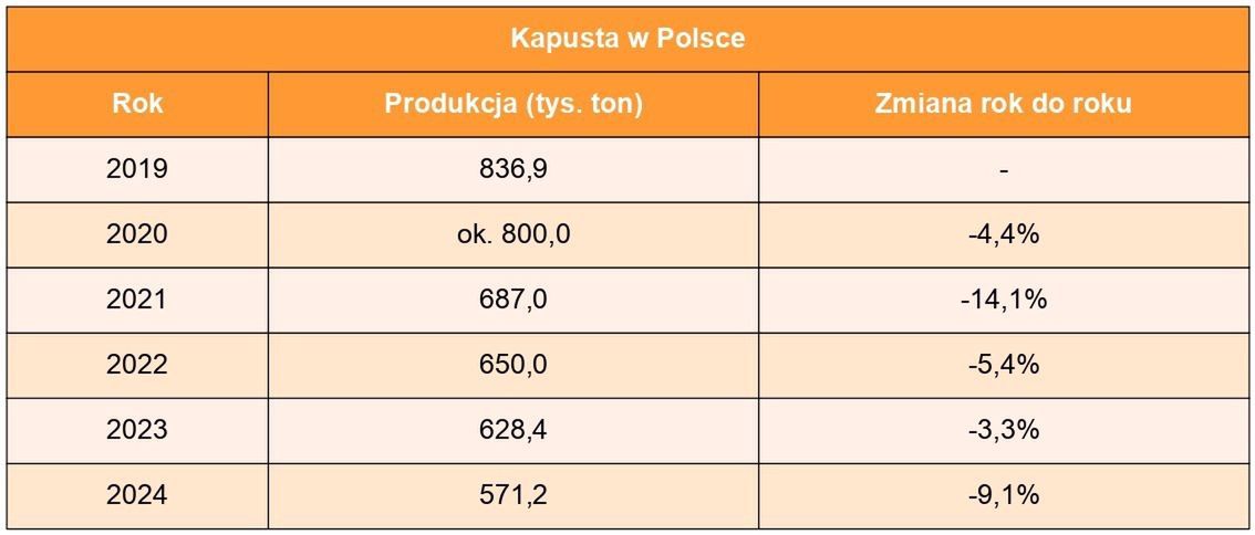 Spadek produkcji kapusty w Polsce w latach 2019-2024