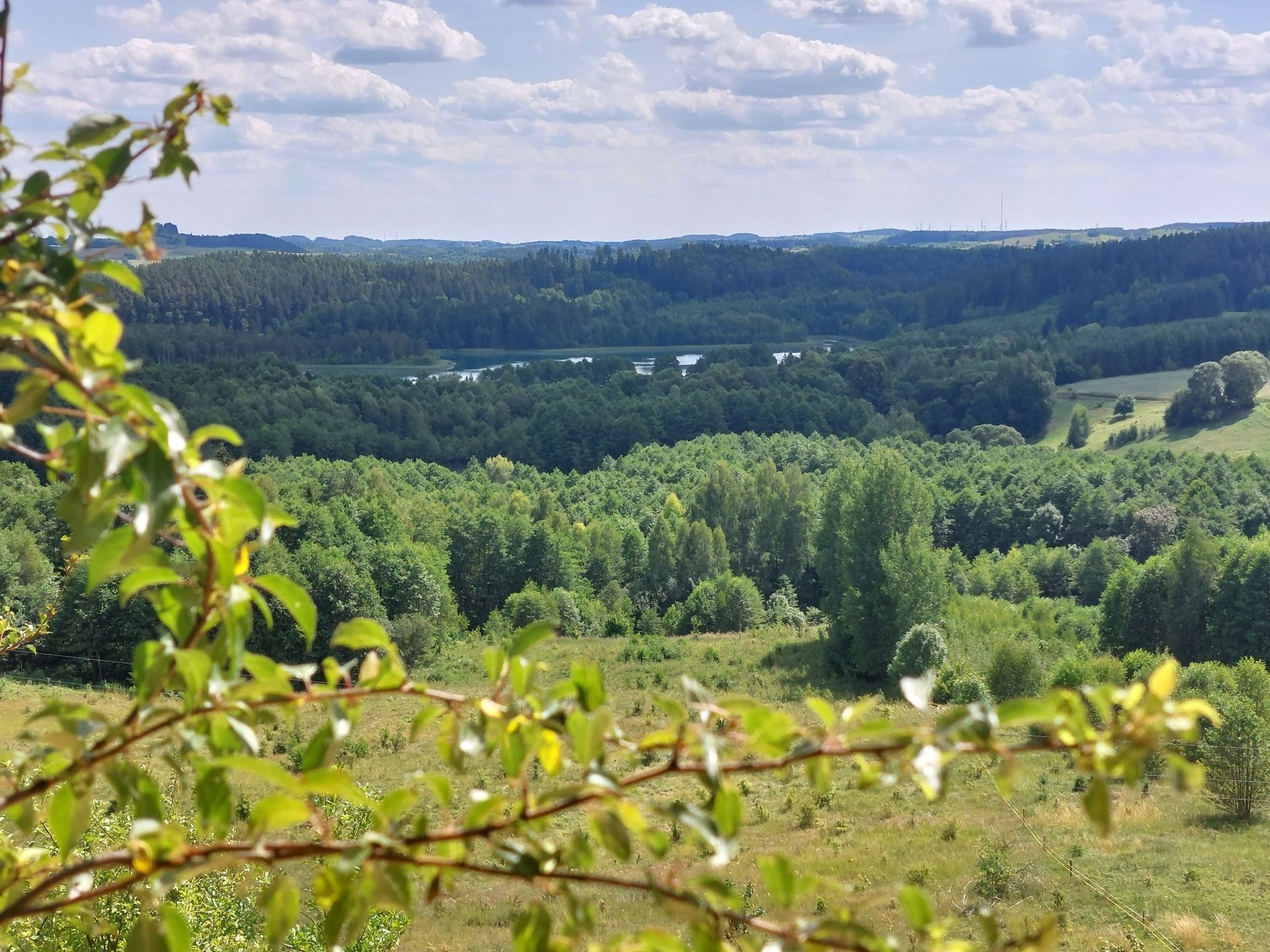 krajobraz Suwalszczyzny