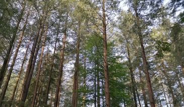 Śląsk. Od soboty nowe obostrzenia, tam jednak wejdziemy bez problemu