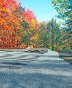 Bielsko-Biała. Nie będzie wycinki. Zmiana planu drogi pod kolejkę na Szyndzielnię