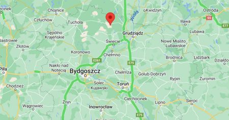 Peugeot roztrzaskał się na drzewie. W środku było 9 osób