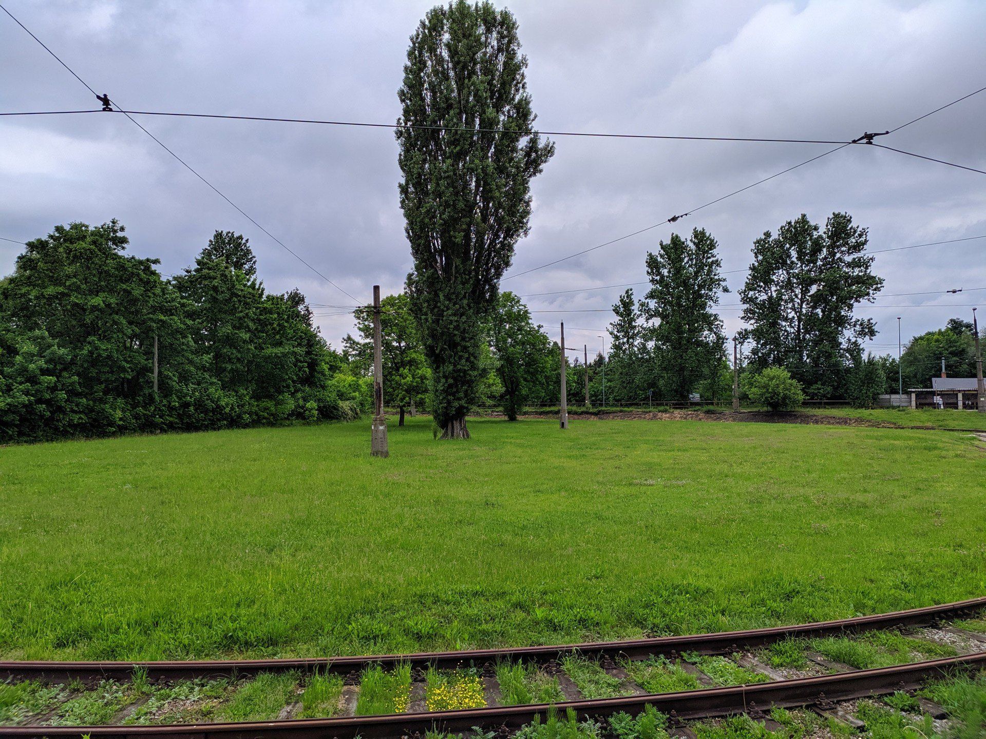 Linia tramwajowa na Kucelin powinna zostać wydłużona? Miasto nie pozostawia złudzeń