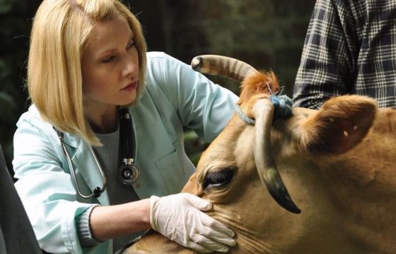 Trzeci sezon „Blondynki” z Joanną Moro w TVP1