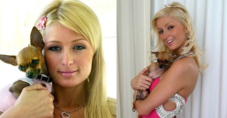 Paris Hilton skończyła 35 lat! (ZDJĘCIA)