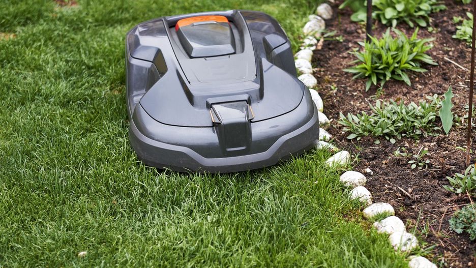 Robot koszący wykona za ciebie prace ogrodowe