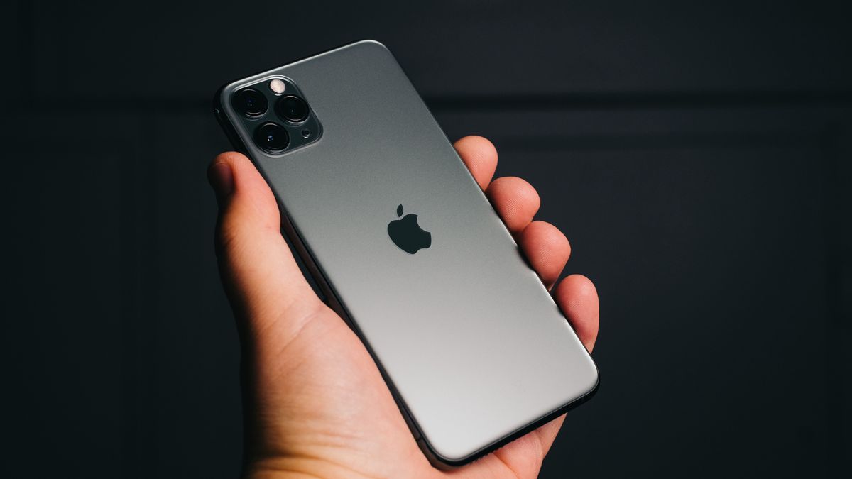 iPhone 11 przetrwał pod wodą. Był tam 11 miesięcy (zdj. ilustracyjne)