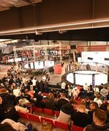 Ponad 400 walk stoczono podczas 9. Mistrzostw MMA