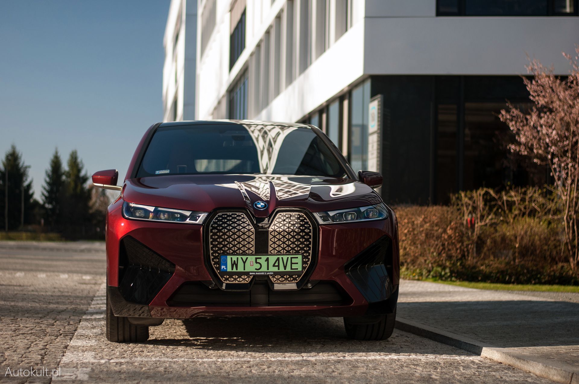 BMW iX