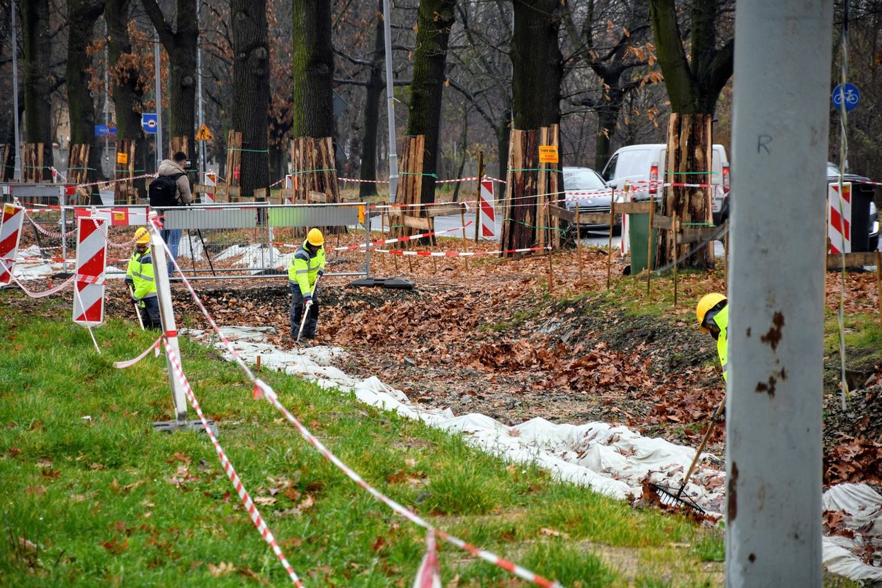 Wrocław. Nowe torowisko na Biskupinie później. Wszystko przez atak zimy