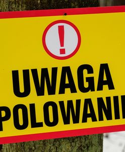 Skandal na polowaniu, myśliwy zabił zwierzę pod ochroną. Sprawę bada policja