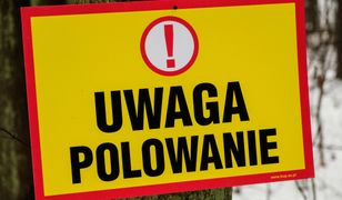 Skandal na polowaniu, myśliwy zabił zwierzę pod ochroną. Sprawę bada policja