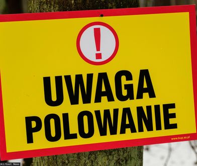 Skandal na polowaniu, myśliwy zabił zwierzę pod ochroną. Sprawę bada policja