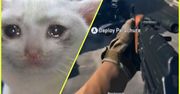 Tragiczny bug w Warzone 2.0. Można w ten sposób zniszczyć komuś grę