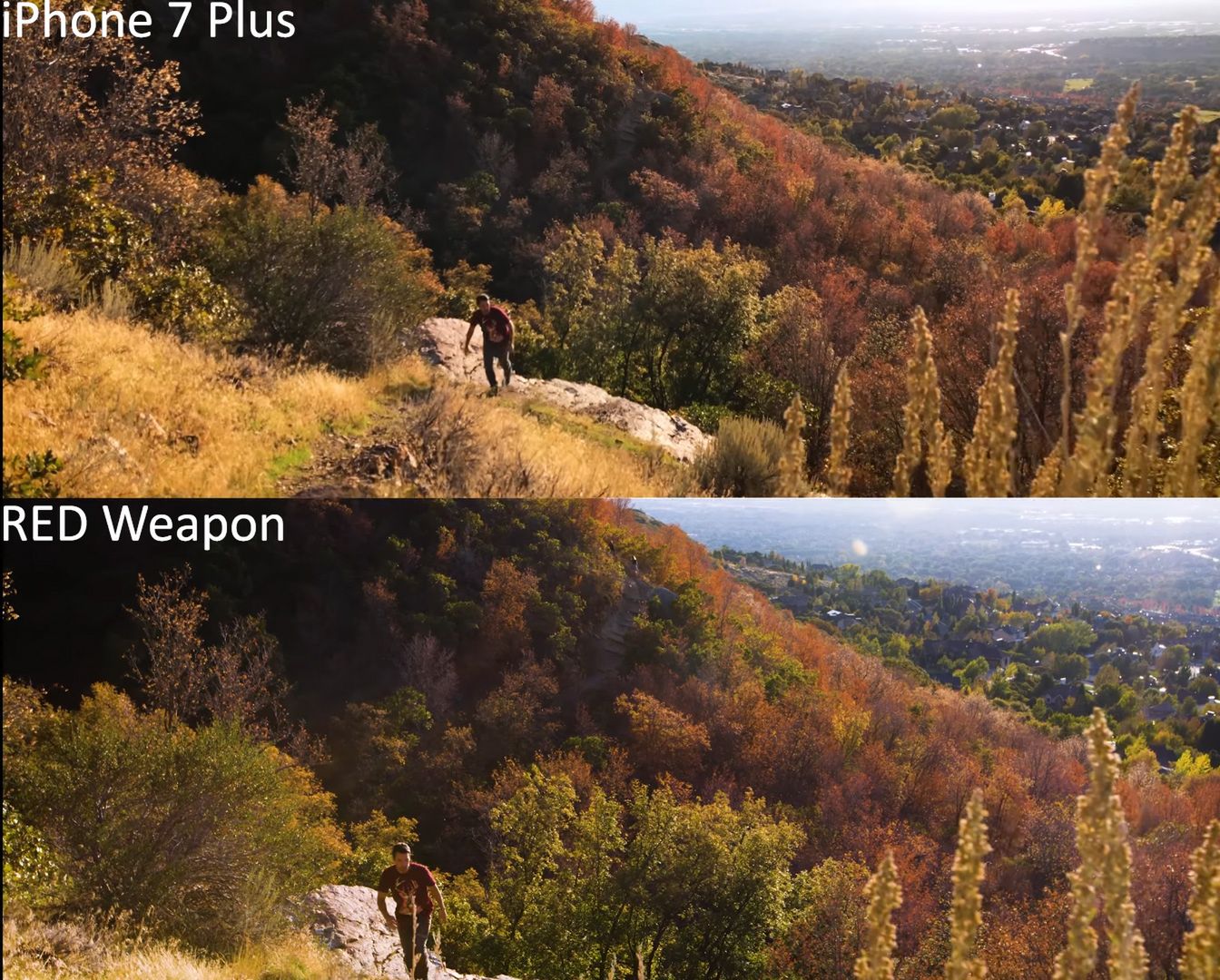 RED Weapon kontra iPhone 7 Plus – potraficie rozróżnić, który film powstał z której kamery? 3